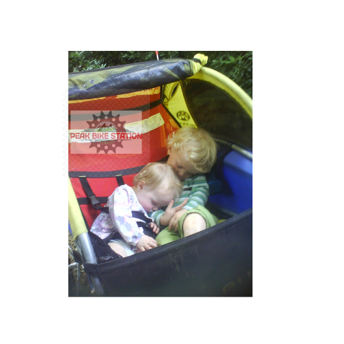 Burley Bee Double Bike Trailer Hire | Family Cycling Peak District