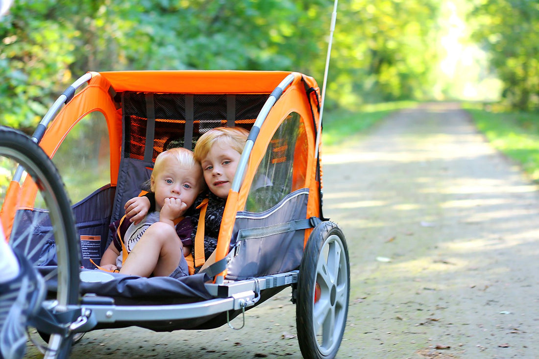 Burley Bike Double child Trailer.